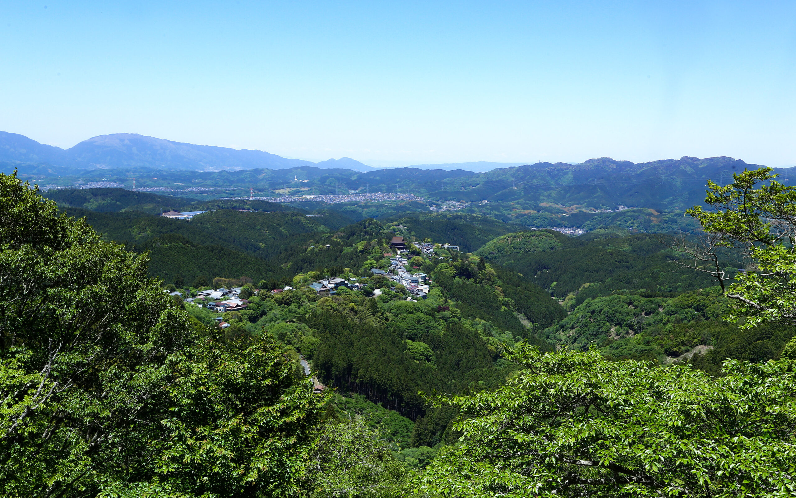 【Nara/Yoshino】Walk and Learn about the Religion of the Mountains: Learn ...